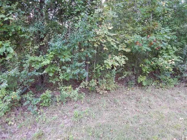 Lot 45 Forest Lane, Eddyville, KY 42038 - #1