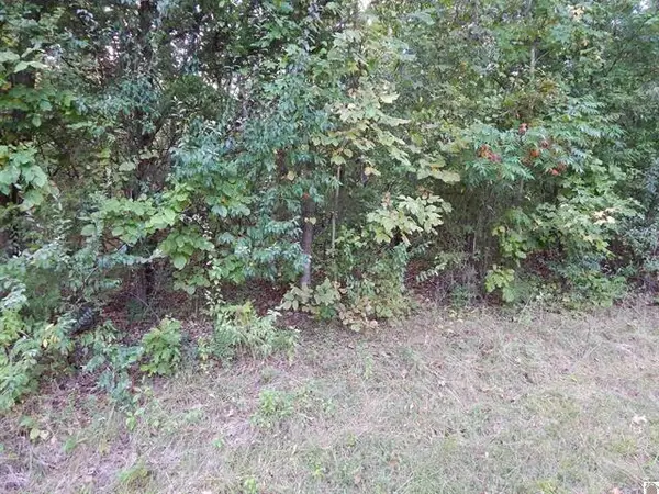 Lot 44 Forest Lane, Eddyville, KY 42038
