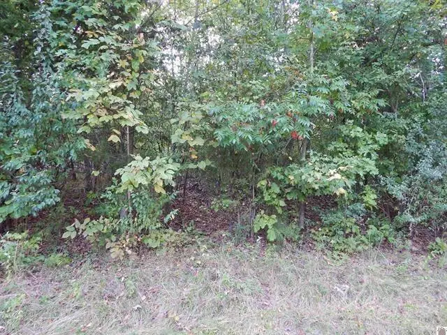 Lot 44 & 45 Forest Lane, Eddyville, KY 42038 - #2