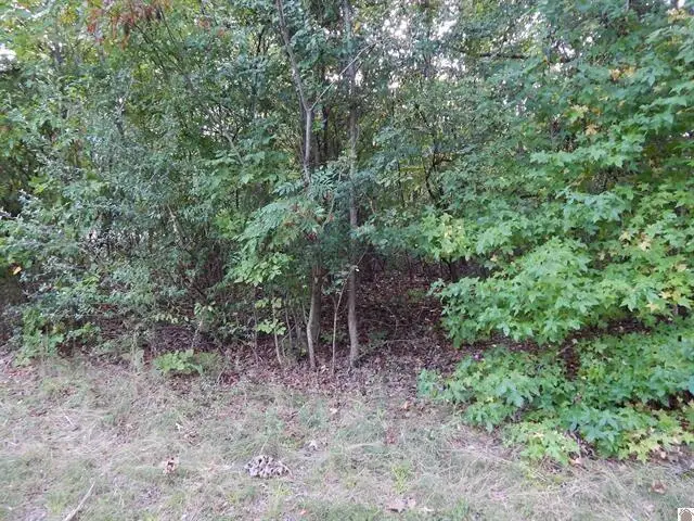 Lot 44 & 45 Forest Lane, Eddyville, KY 42038 - #3