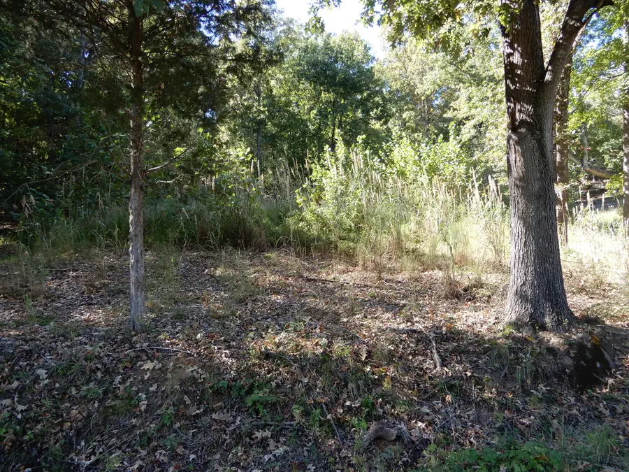 lot 7 and 8 Roy Harris Road, Kuttawa, KY 42055 - #3