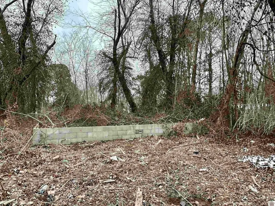 000 W First Street, Gilbertsville, KY 42044 - #3