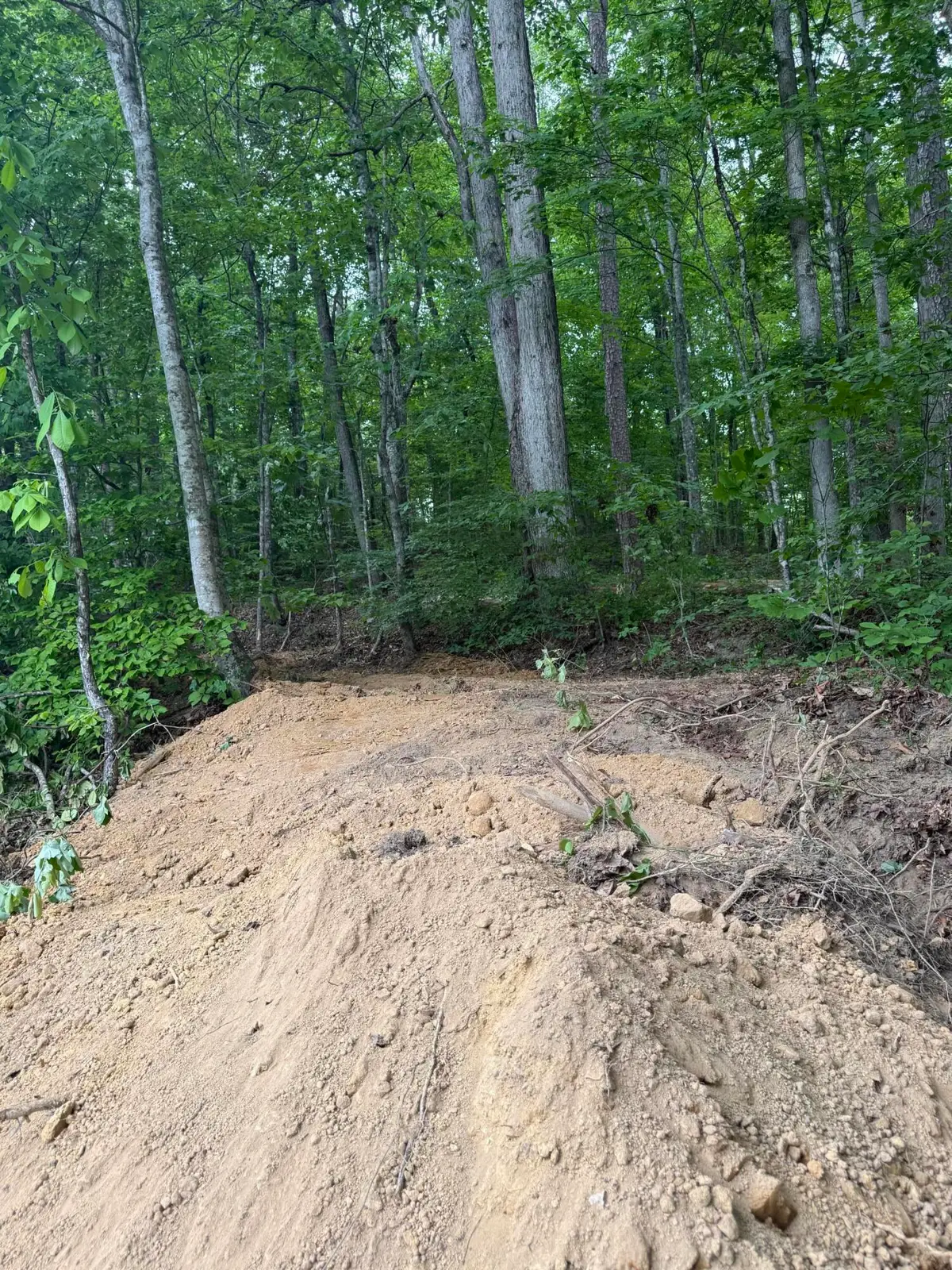 Lot 164 Ashland Camp Loop, Beattyville, KY 41311 - #1