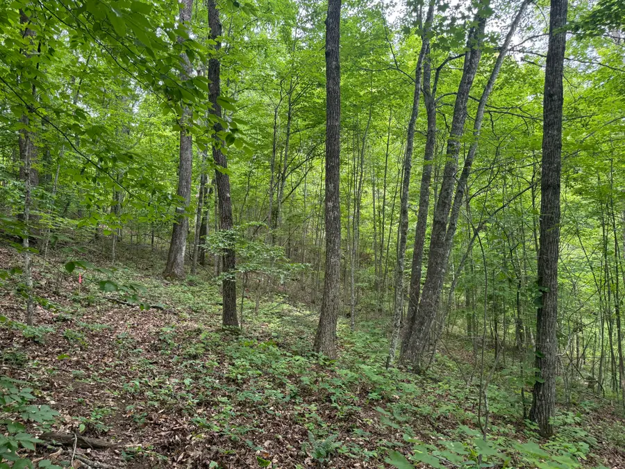Lot 164 Ashland Camp Loop, Beattyville, KY 41311 - #3