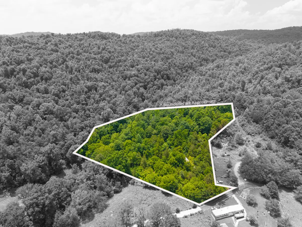 1 Barrier Cemetary Road, Monticello, KY 42633 - #1