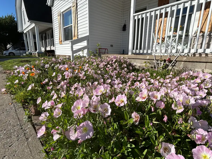 16 16th Street, Paris, KY 40361 - #3