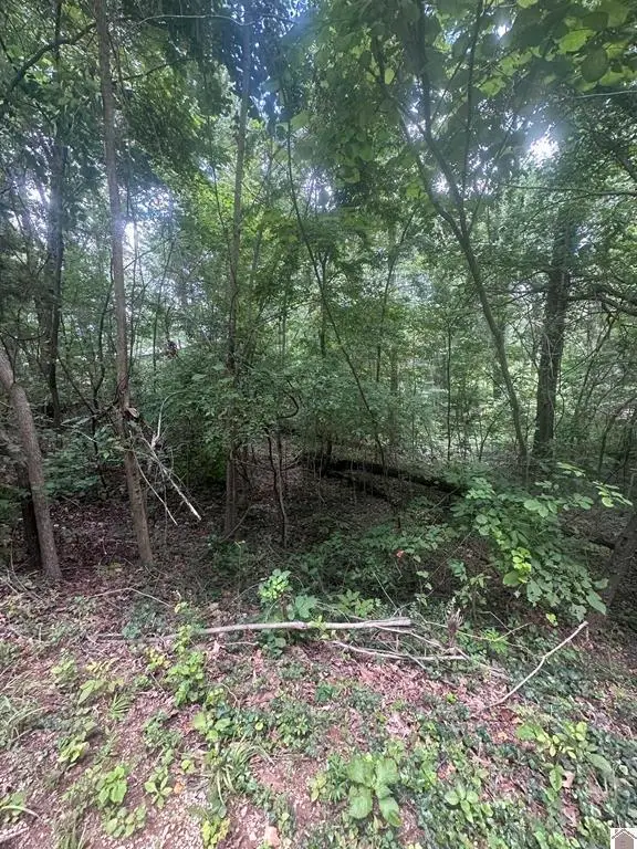 714 Country Hills Drive, Eddyville, KY 42038