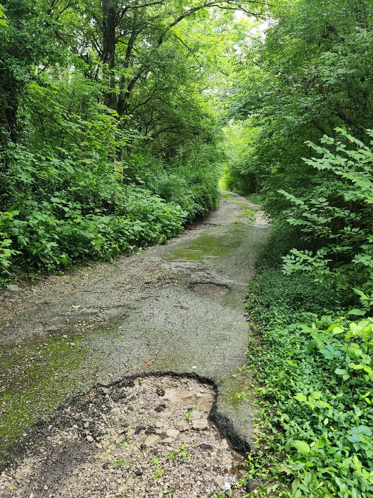 2828 Athens Boonesboro Road, Winchester, KY 40391 - #1