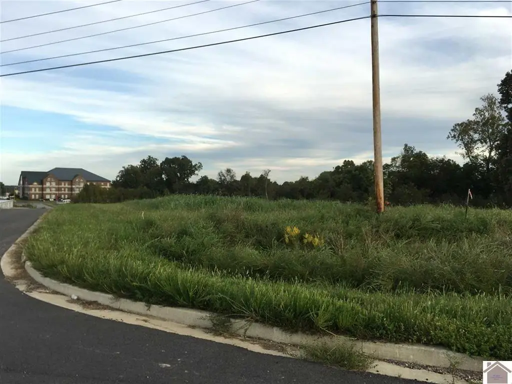 0000 0 Access Rd Road, Benton, KY 42025 - #1