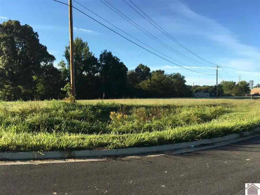 0000 0 Access Rd Road, Benton, KY 42025 - #2