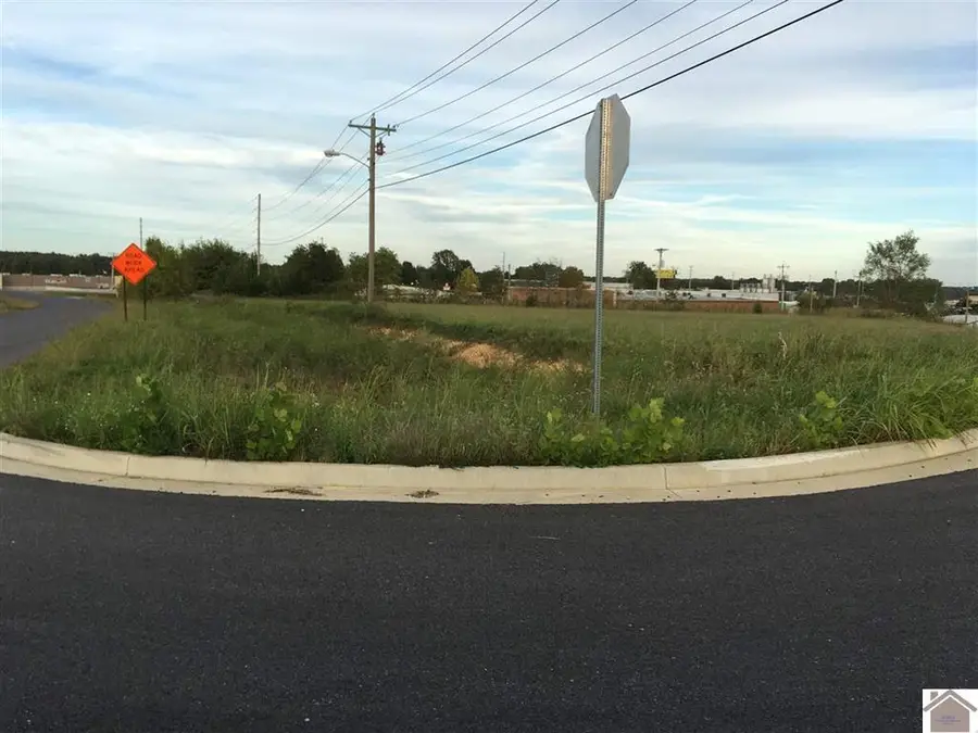0000 0 Access Rd Road, Benton, KY 42025 - #2