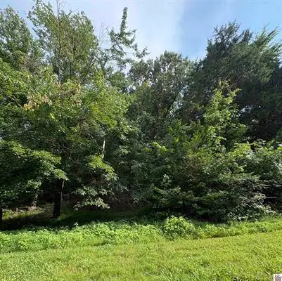 157 Deepwood Drive, Murray, KY 42071