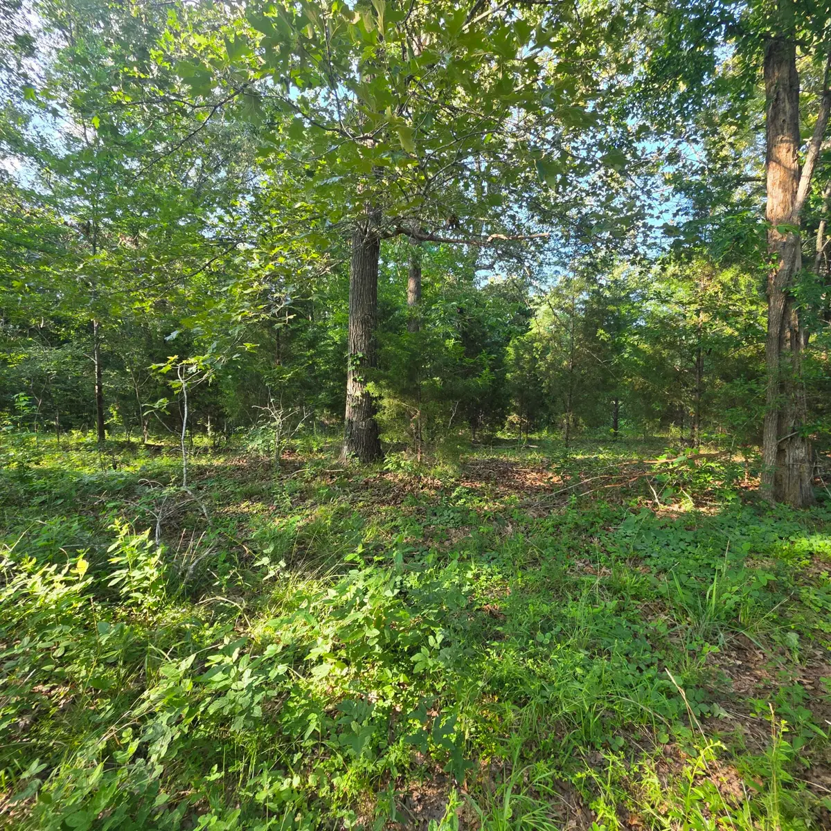 999 Valhalla Lane, Benton, KY 42025 - #1
