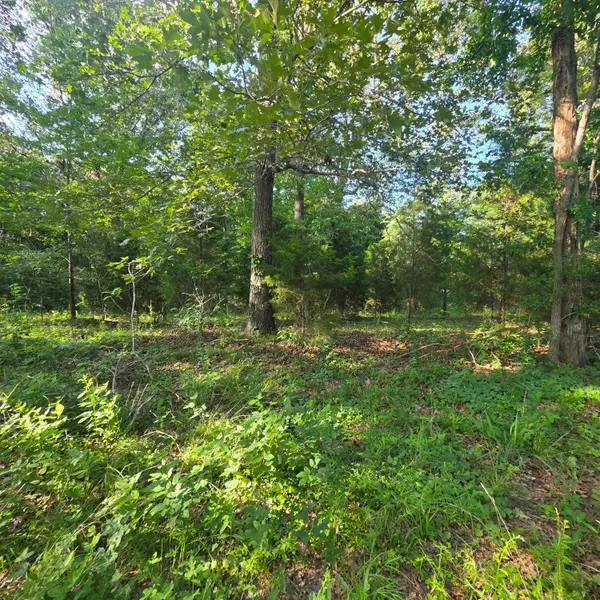 999 Valhalla Lane, Benton, KY 42025