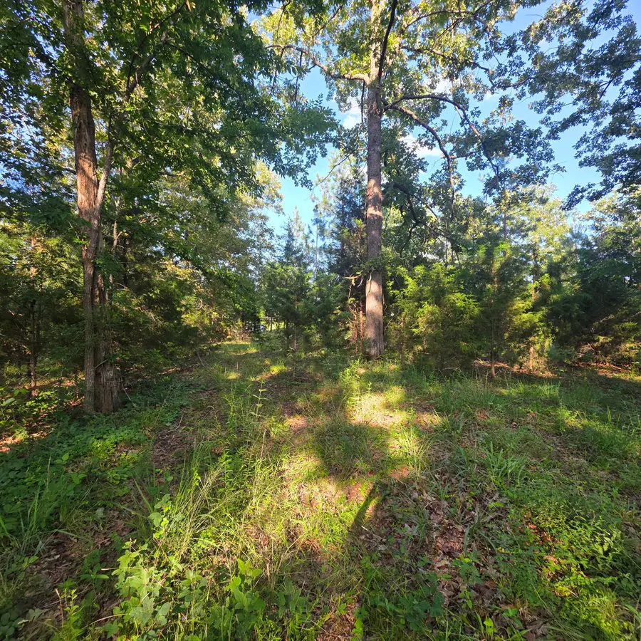 999 Valhalla Lane, Benton, KY 42025 - #2