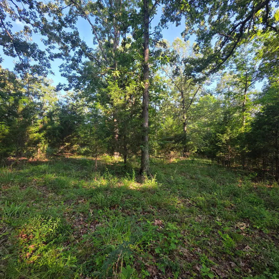 999 Valhalla Lane, Benton, KY 42025 - #3