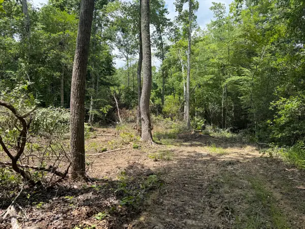 4444 Gibson Lane, Williamsburg, KY 40769