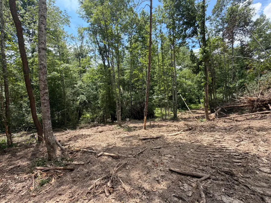 101010 Gibson Lane, Williamsburg, KY 40769 - #3