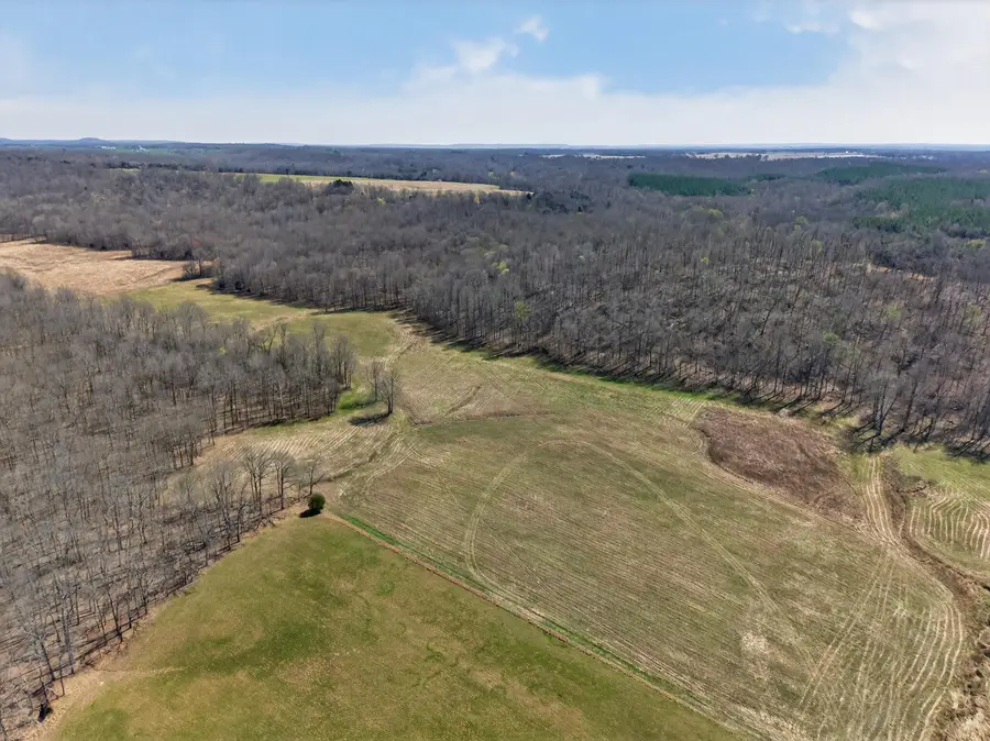 2526 Axel Creek Road, Salem, KY 42078 - #2