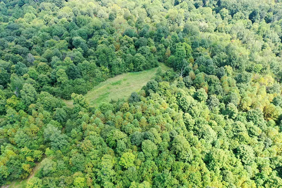 1013 Donahue, Princeton, KY 42445 - #2