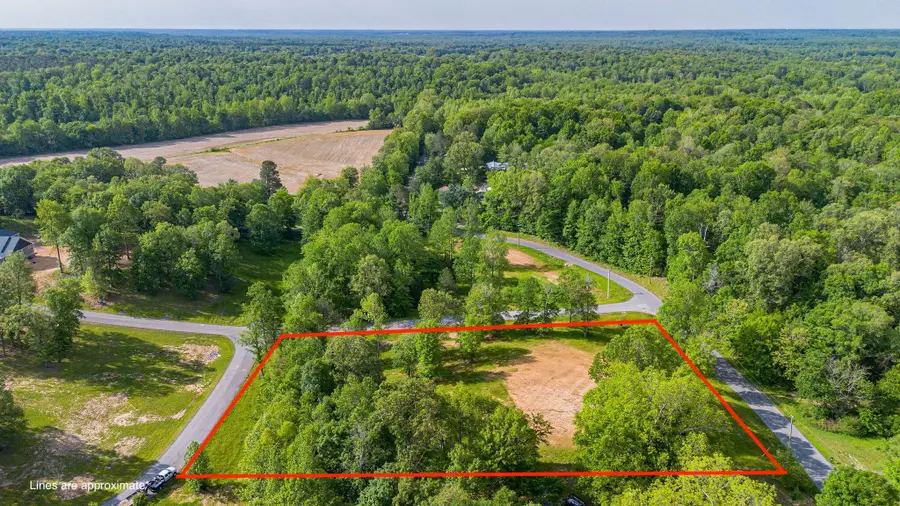 Lot 1 Fern Creek Lane, Benton, KY 42025 - #2