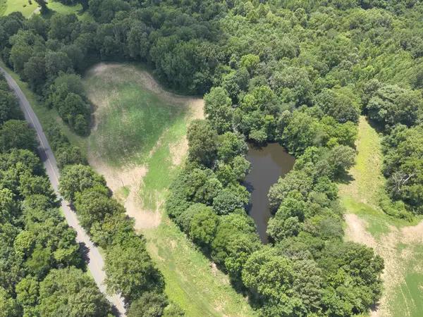 000  Hwy 1591 (north Tract), Bardwell, KY 42023