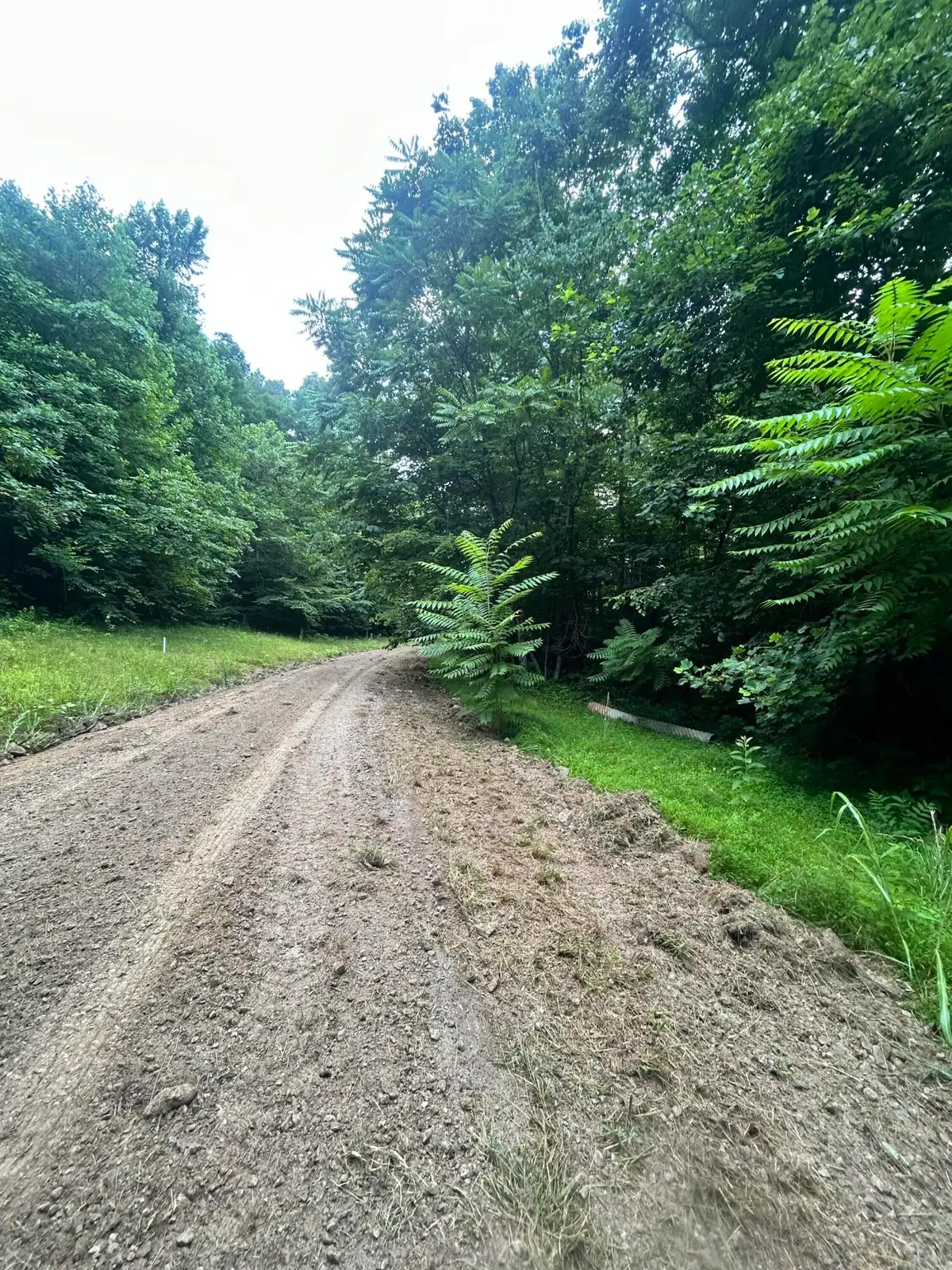 Tract 68-70 CD Dogwood Drive, Whitley City, KY 42653 - #1