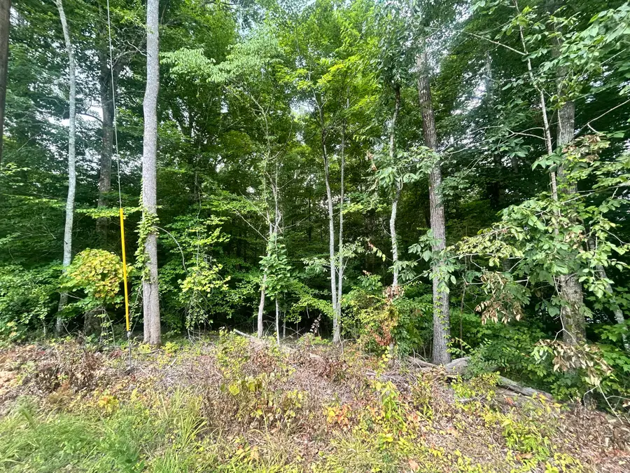 Tract 68-70 CD Dogwood Drive, Whitley City, KY 42653 - #3