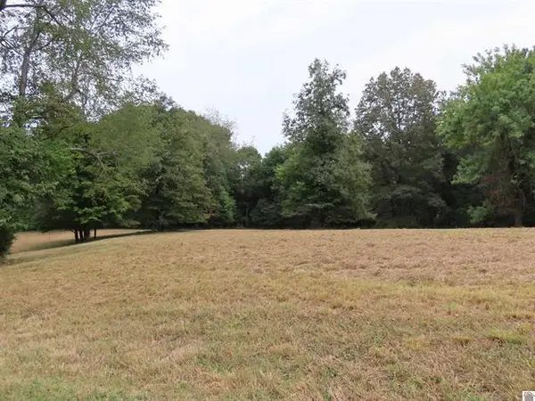 Lots 1, 2, 3, 4 Pacific Avenue, Wingo, KY 42088