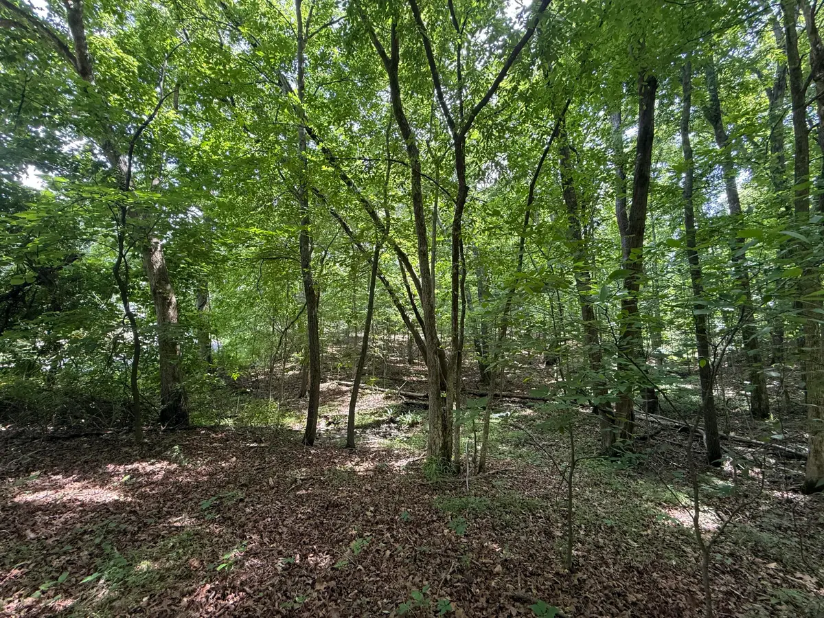 000 Waterway Trail #Lot 70B - Keniana Lake Shore, New Concord, KY 42076 - #1