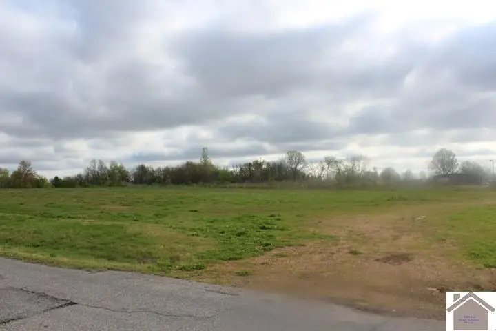 0 W James Street, Mayfield, KY 42066 - #1