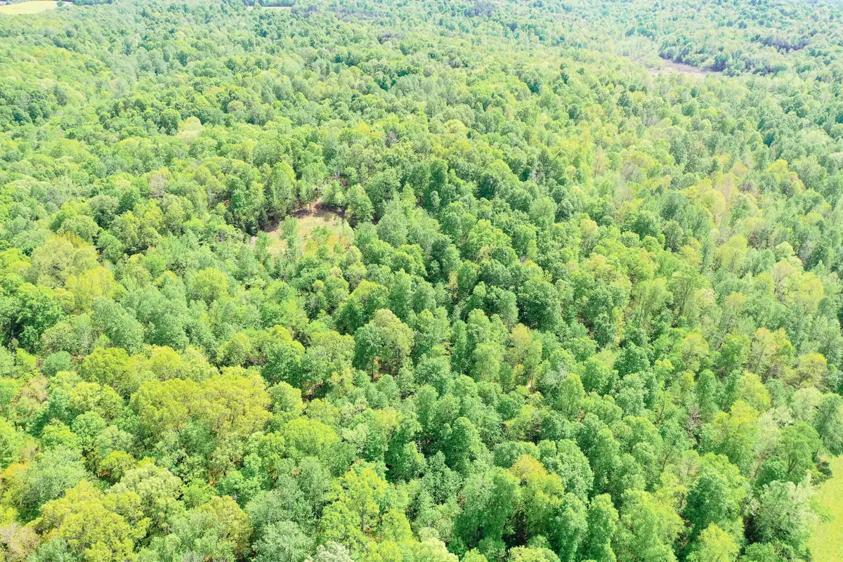 406 Lakewood Road #Tract 1, Princeton, KY 42445 - #1