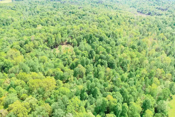 406 Lakewood Road #Tract 1, Princeton, KY 42445