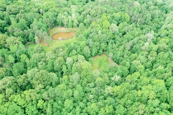 406 Lakewood Road #Tract 2, Princeton, KY 42445