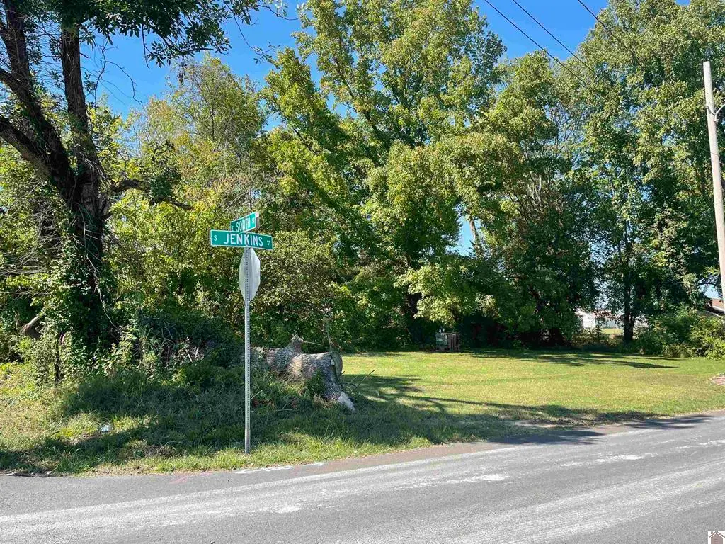 306 S Jenkins Street, Mayfield, KY 42066 - #1