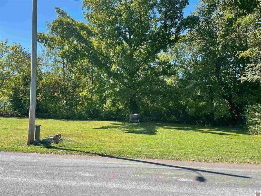 306 S Jenkins Street, Mayfield, KY 42066 - #2