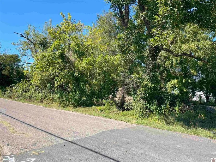 306 S Jenkins Street, Mayfield, KY 42066 - #3