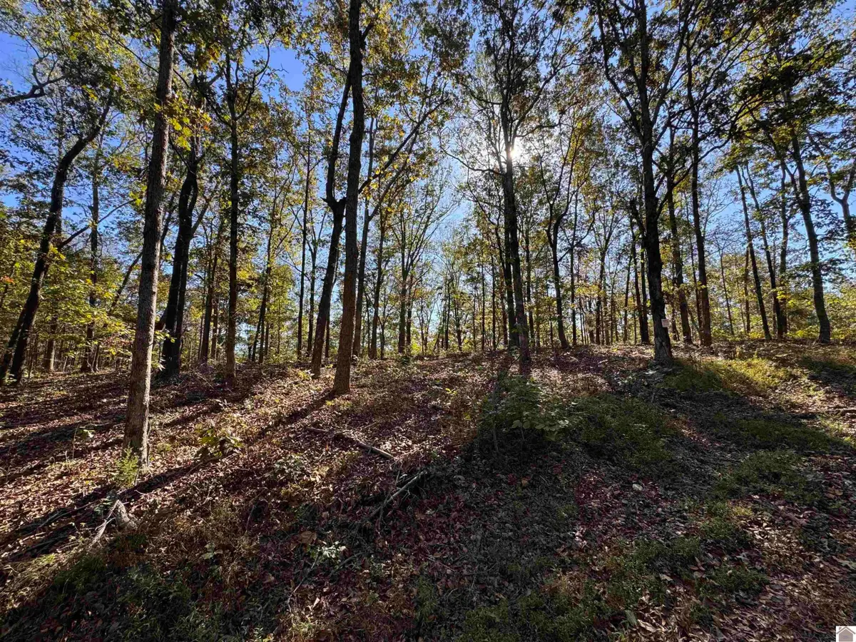 00 Ridge Road, New Concord, KY 42076 - #1