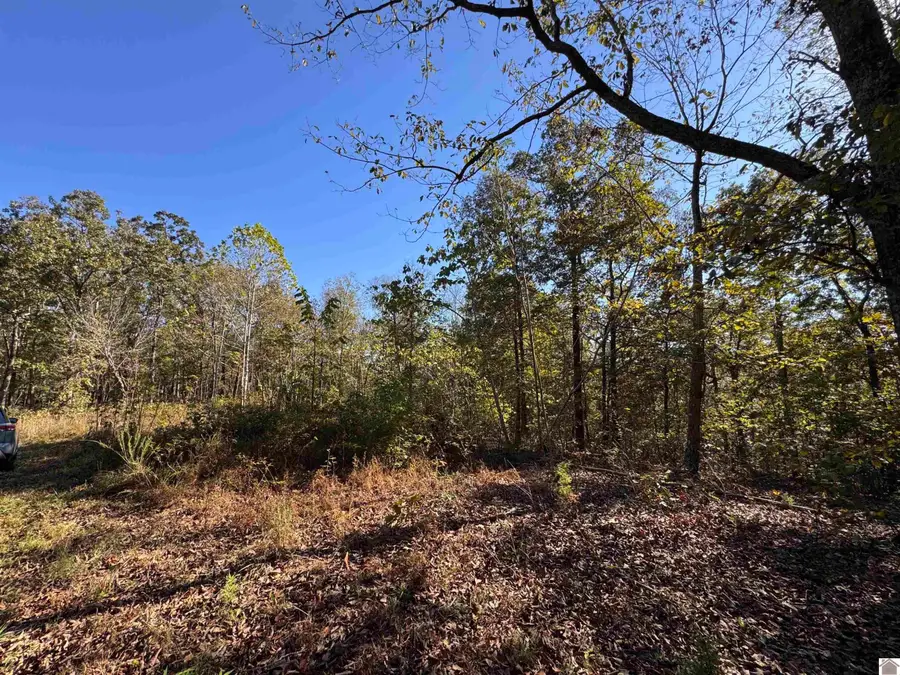 00 Ridge Road, New Concord, KY 42076 - #2