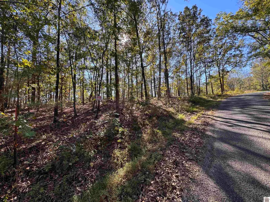 00 Ridge Road, New Concord, KY 42076 - #3