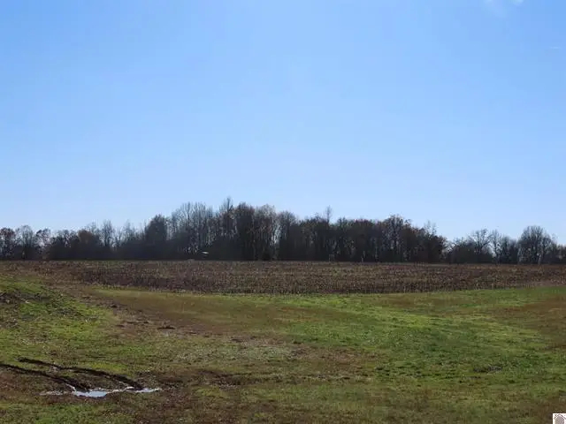ST RT 45 S Boyd, Wingo, KY 42088 - #1