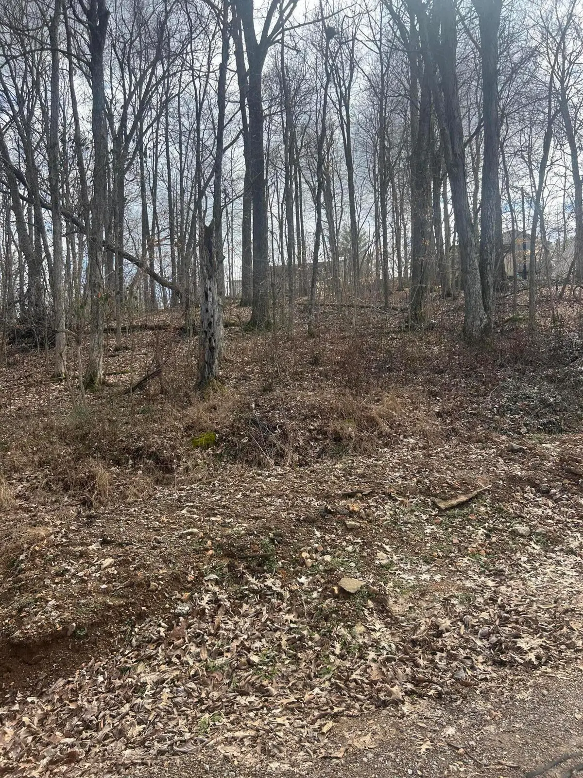 Rockastle Shores Ferrell Circle #26 I, Cadiz, KY 42211 - #1