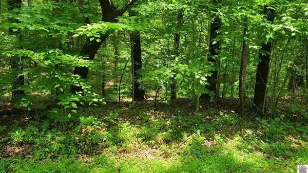 217-218 0 Sand Dr Drive, Murray, KY 42071