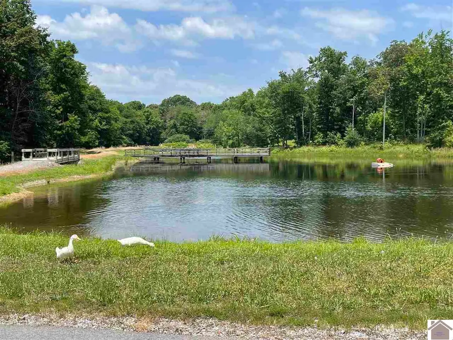 0000 Lot 18 0 Hills Hollow Rd Road #Lot 18, Murray, KY 42071 - #3