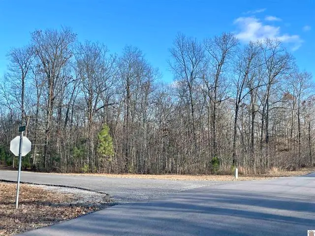 Lot 95 Deepwood Drive, Murray, KY 42071 - #3