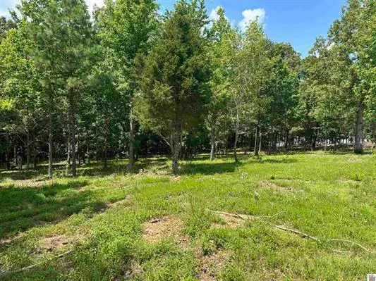 0 6 Tradition Dr Drive, Benton, KY 42025 - #3