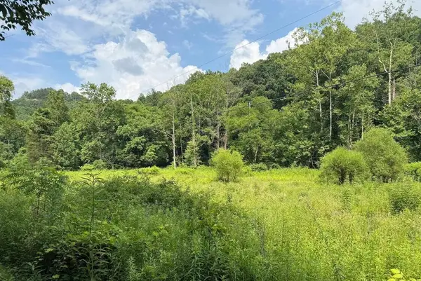 0 Meyers Fork Road, Denniston, KY 40316