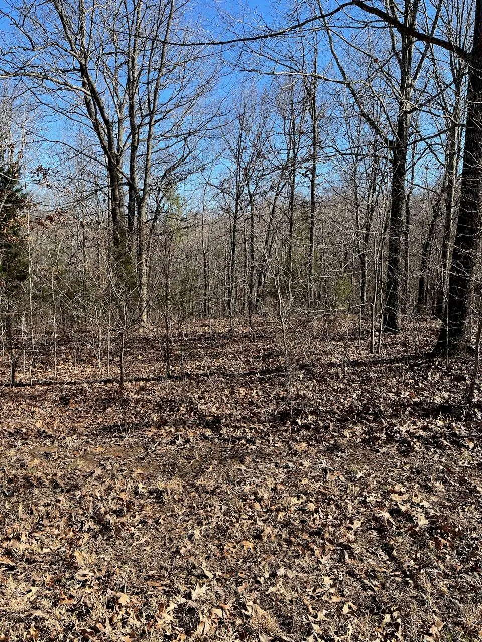 Lot 62 Weekend Lane, Murray, KY 42071 - #1