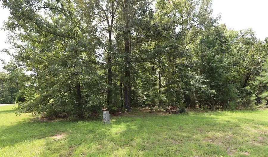 Lot 46 Waterfowl Lane, Murray, KY 42071 - #3