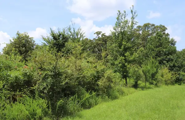 Lot 58 Kirk Ridge Drive, Murray, KY 42071